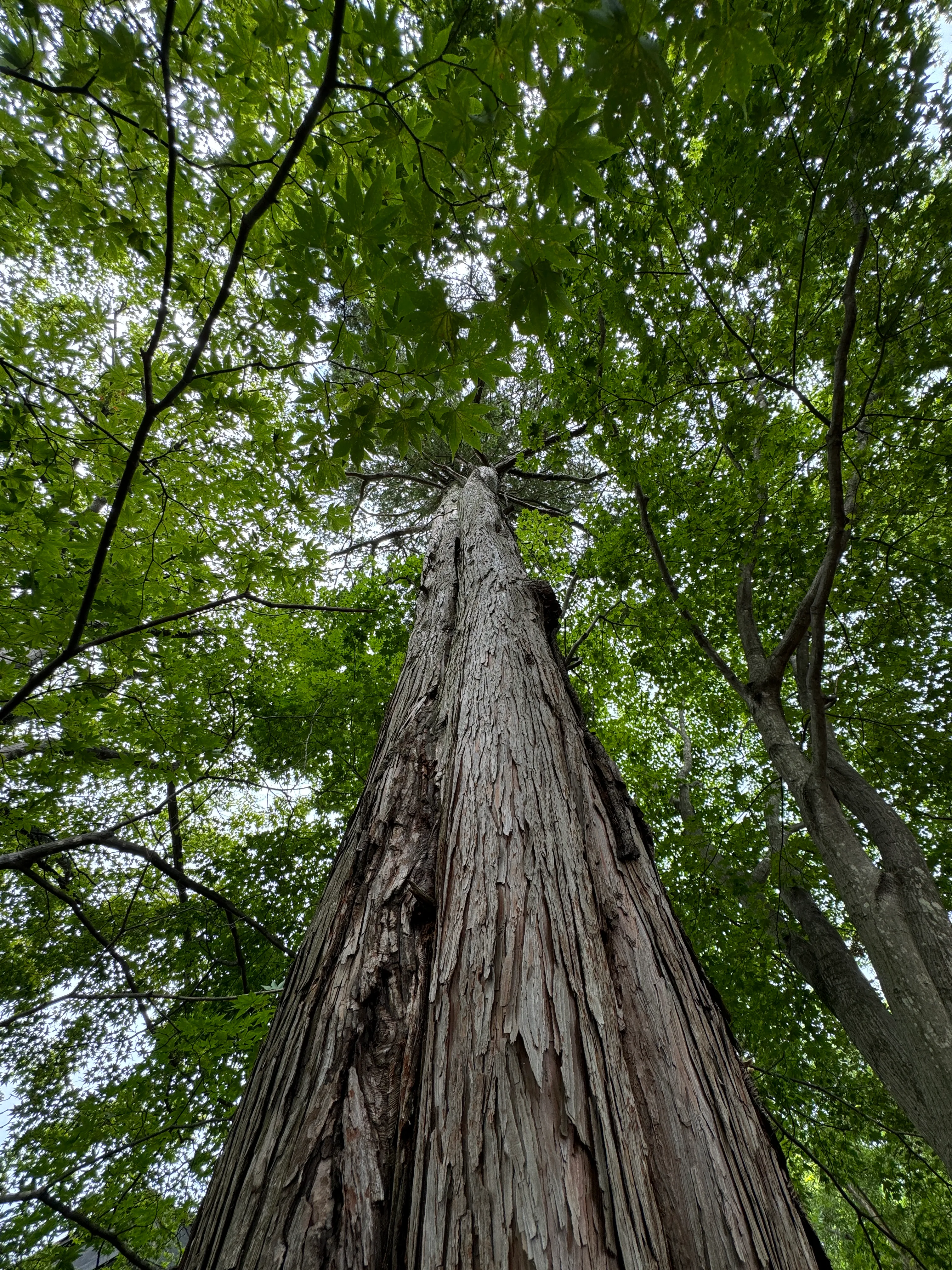 2025年8月からGleamHubは3期目に突入しました！