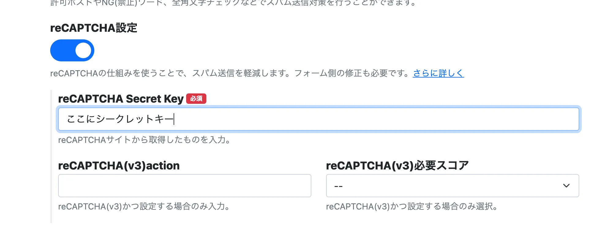 reCAPTHA情報の入力画面